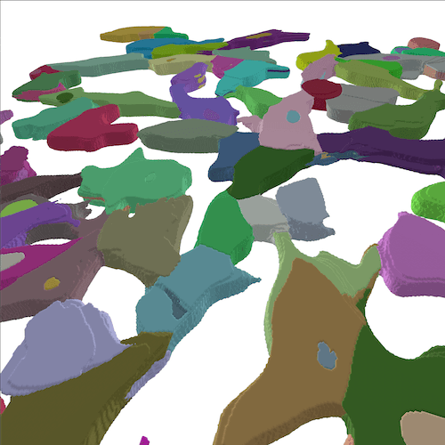 3D Cells Visualization